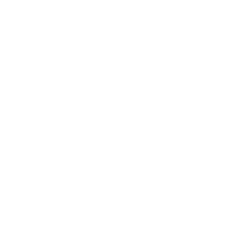 business icon